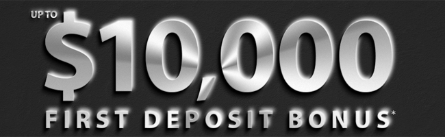 Hy binary options